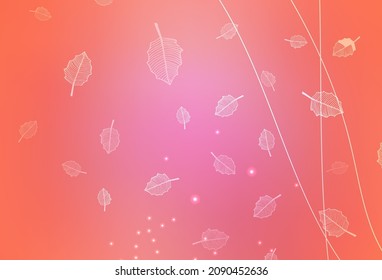 Light Pink vector doodle backdrop with trees, branches. An elegant bright illustration with flowers. Brand new style for your business design.