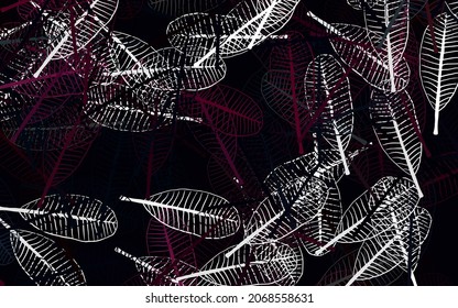 Light Pink vector elegant pattern with leaves. leaves on blurred abstract background with gradient. A new texture for your wallpaper design.