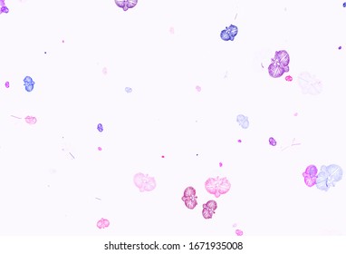 Light Pink vector natural background with flowers. Flowers with gradient on white background. Pattern for wallpapers, coloring books.