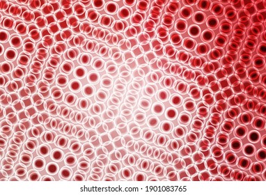 Light Pink vector pattern with spheres. Beautiful colored illustration with blurred circles in nature style. Design for poster, banner of websites.