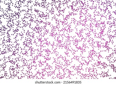 Light Pink vector texture with disks. Glitter abstract illustration with blurred drops of rain. Pattern of water, rain drops.