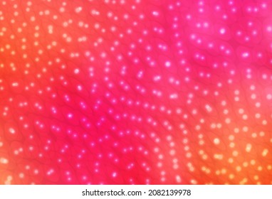 Fondo vector amarillo claro rosa con puntos. Ilustración con un conjunto de círculos abstractos de colores brillantes. Diseño para afiches, banner de sitios web.