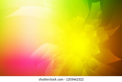 Light Pink, Yellow vector cover with set of hexagons. Illustration with set of colorful hexagons. New template for your brand book.
