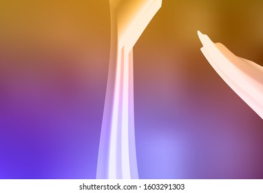 Light Pink, Yellow vector layout with bent lines. Colorful geometric sample with gradient lines.  A completely new template for your design.