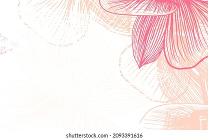 Color rosa claro, Rama natural Amarillo con flores. Flores de estilo natural sobre fondo blanco. Diseño de Doodle para su sitio web.