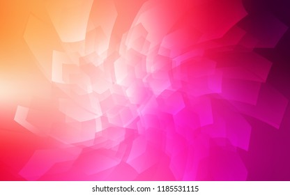 Light Pink, Yellow vector template in hexagonal style. Colorful hexagons on white backdrop. Pattern can for your ad, booklets.