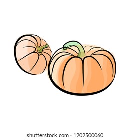 light pumpkin vector