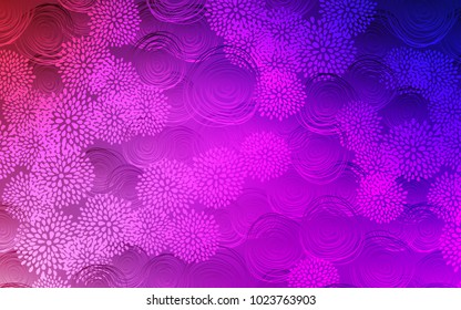 Light Purple, Pink vector doodle blurred template. A vague abstract illustration with flowers in doodles style. The template can be used as a background for cell phones.