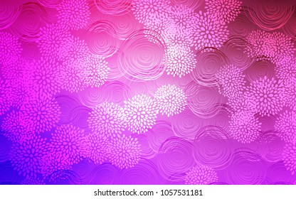 Light Purple, Pink vector doodle bright pattern. flowers on elegant natural pattern with gradient. The textured pattern can be used for website.