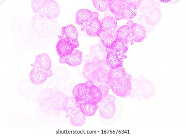 Light Purple, Pink vector doodle layout with flowers. Decorative design of flowers on white background. Hand painted design for web, wrapping.
