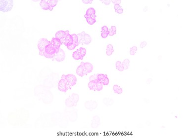 Color púrpura claro, Doodle vector rosado con flores. Ilustración creativa de estilo borroso con flores. Plantilla para fondos de teléfonos móviles.