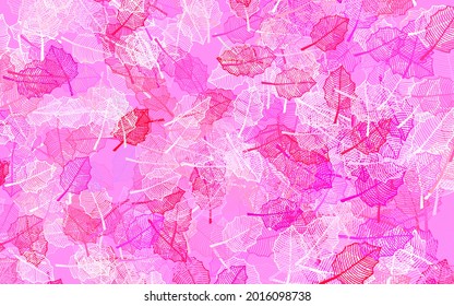 Púrpura claro, patrón de doodle vector rosado con hojas. Ilustración creativa de estilo borroso con hojas, flores. Nueva plantilla para su diseño.