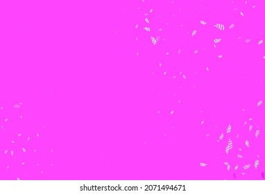 Light Purple, Pink vector doodle pattern with leaves. Blurred decorative design in Indian style with leaves. Hand painted design for web, leaflets.