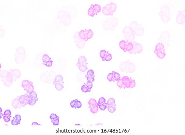 Light Purple, Pink vector elegant pattern with flowers. Creative illustration in blurred style with flowers. New design for your business.