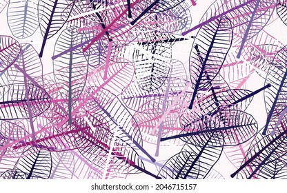 Púrpura claro, Pink vector elegante fondo con hojas. Una elegante ilustración brillante con hojas de estilo natural. Patrón para papeles pintados, libros de color.