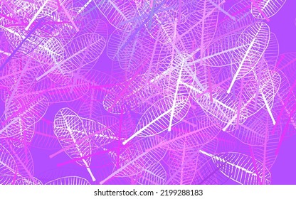 Light Purple, Pink vector elegant pattern with leaves. Glitter abstract illustration with doodles and leaves. Brand new design for your business.