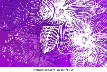 Light Purple, Pink vector elegant template with flowers. Brand new colored illustration with flowers. Pattern for heads of websites, designs.
