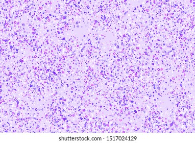 Light Purple, Pink vector pattern with random forms. Simple colorful illustration with abstract gradient shapes. Simple design for your web site.