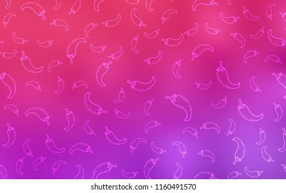 Light Purple, Pink vector template with organic peppers. Beautiful colored illustration with peppers in doodle style. Design for ad, poster, banner of cafes or restaurants.