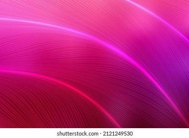 Light Purple, Pink vector template with bent lines. A completely new colorful illustration in simple style. Background for cell phone screens.