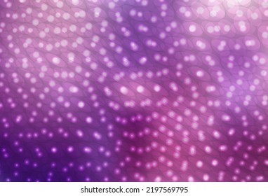 Light Purple, Pink vector texture with disks. Beautiful colored illustration with blurred circles in nature style. New template for your brand book.