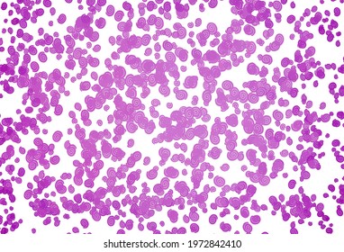 Light Purple vector background with bent lines. Modern gradient abstract illustration with bandy lines. Brand new design for your ads, poster, banner.