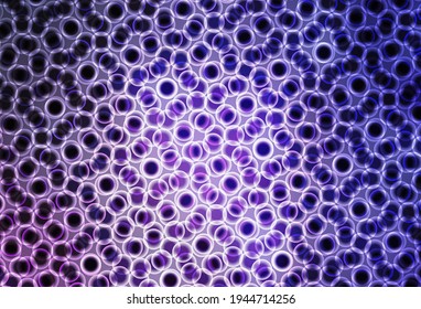 Light Purple vector background with bubbles. Blurred decorative design in abstract style with bubbles. Pattern for textures of wallpapers.