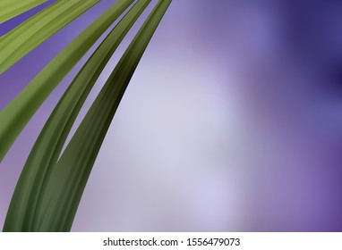 Light Purple vector colorful abstract background. Glitter abstract illustration with gradient design. Completely new design for your business.