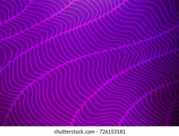 Light Purple vector indian curved texture. Colorful abstract illustration with lines in Asian style. The pattern can be used for coloring books and pages for kids.