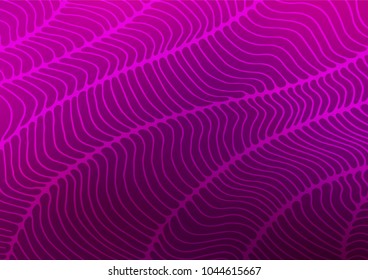 Light Purple vector natural abstract template. An elegant bright illustration with lines in Natural style. The template can be used as a background for cell phones.