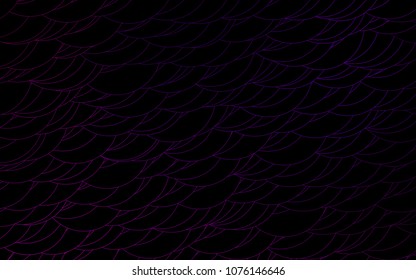 Light Purple vector  pattern with spheres. Illustration with set of shining colorful abstract circles. New design for ad, poster, banner of your website.