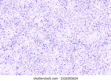 Light Purple vector texture with abstract forms. Decorative design in abstract style with random forms. Simple design for your web site.