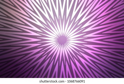 Light Purple vector texture with colored lines. Shining colored illustration with sharp stripes. Pattern for ads, posters, banners.