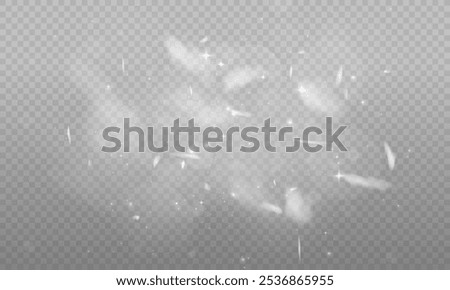 The light of Rainbow and white dust. Bokeh light effect background png. A gorgeous Christmas glowing dust background. A beautiful Rainbow flickering glow with confetti bokeh light and crystal flare.	
