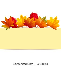 Light rectangle for text on a background of autumn leaves. Vector illustration for business presentation. Cartoon style.