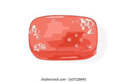 Light red plastic closed soap dish, box or holder with foam bubbles on surface. Bathroom, washroom, lavatory accessory, Personal hygiene, skin body care product. Vector cartoon illustration n white.