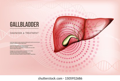 Light red realistic liver and gallbladder baner concept