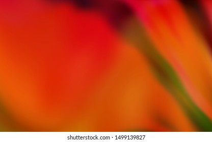 Light Red vector abstract blurred background. Shining colored illustration in smart style. Elegant background for a brand book.