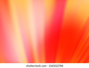 Light Red vector bokeh pattern. An elegant bright illustration with gradient. The template can be used for your brand book.