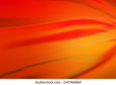 Light Red vector colorful abstract texture. Colorful abstract illustration with gradient. The best blurred design for your business.
