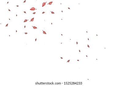 Light Red vector doodle cover. Modern geometrical abstract illustration with leaves. The best blurred design for your business.