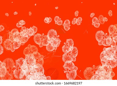 Light Red vector doodle layout with flowers. An elegant bright illustration with flowers. Hand painted design for web, wrapping.