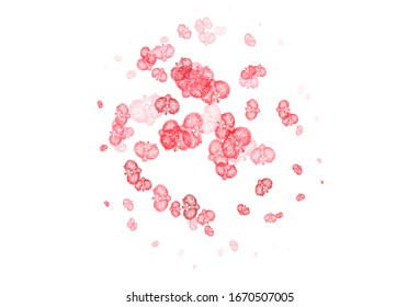 Light Red vector doodle pattern with flowers. Colorful illustration in doodle style with flowers. Hand painted design for web, wrapping.