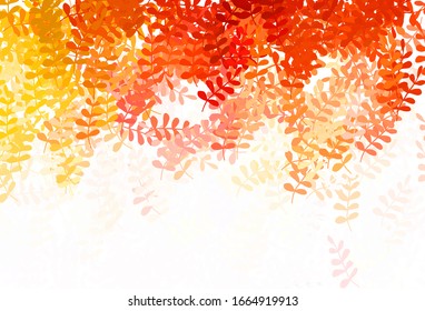 Light Red vector doodle template with leaves. Brand new colored illustration in blurry style with leaves. Pattern for heads of websites, designs.