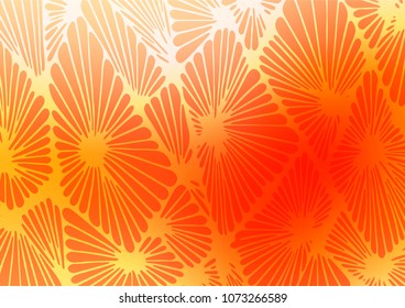 Light Red vector indian curved template. An elegant bright illustration with lines in Natural style. The textured pattern can be used for website.