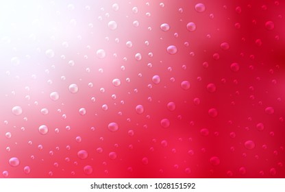 Light Red vector layout with circle shapes. Illustration with set of shining colorful abstract circles. The pattern can be used for aqua ad, booklets.