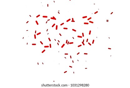 Light Red vector layout with flat lines. Decorative shining illustration with lines on abstract template. The pattern can be used for medical ad, booklets, leaflets