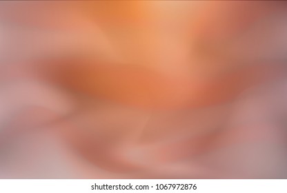 Light Red vector modern elegant background. Colorful abstract illustration with gradient. The blurred design can be used for your web site.