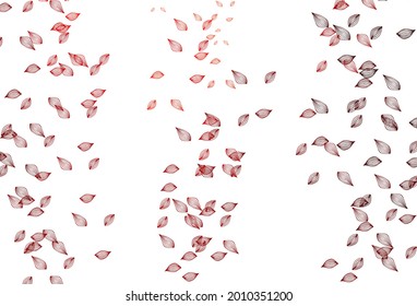 Light Red vector sketch cover. New colorful illustration in doodle style with leaves. Brand new design for your business.