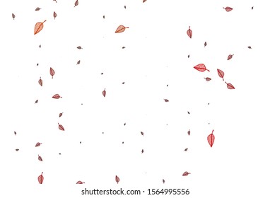 Light Red vector sketch layout. Shining colorful illustration with leaves in doodle style. Brand new style for your business design.
